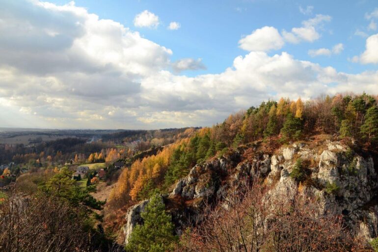 szlakiem orlich gniazd rowerem